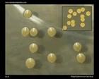 Beta and gamma hemolysis on blood agar